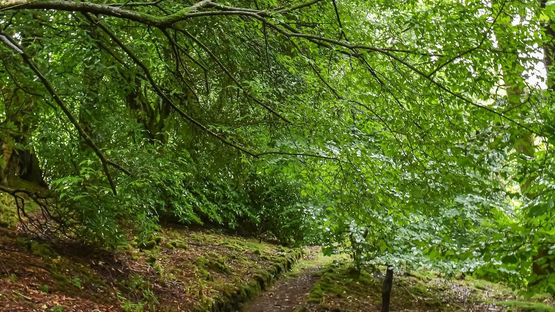 Needle House Villa Ravenstonedale